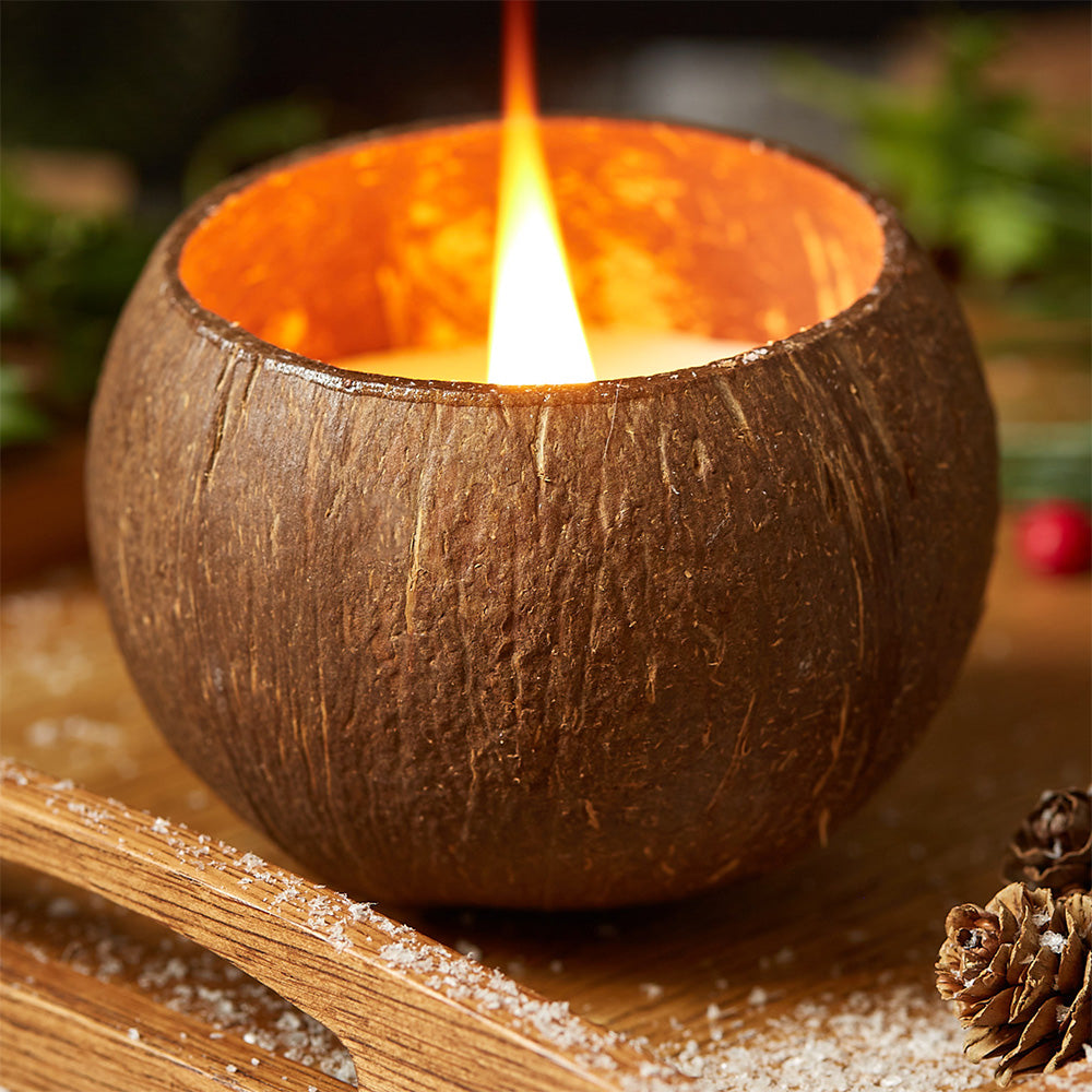 Coconut Shell Candle - Citrus Lime Scent-2