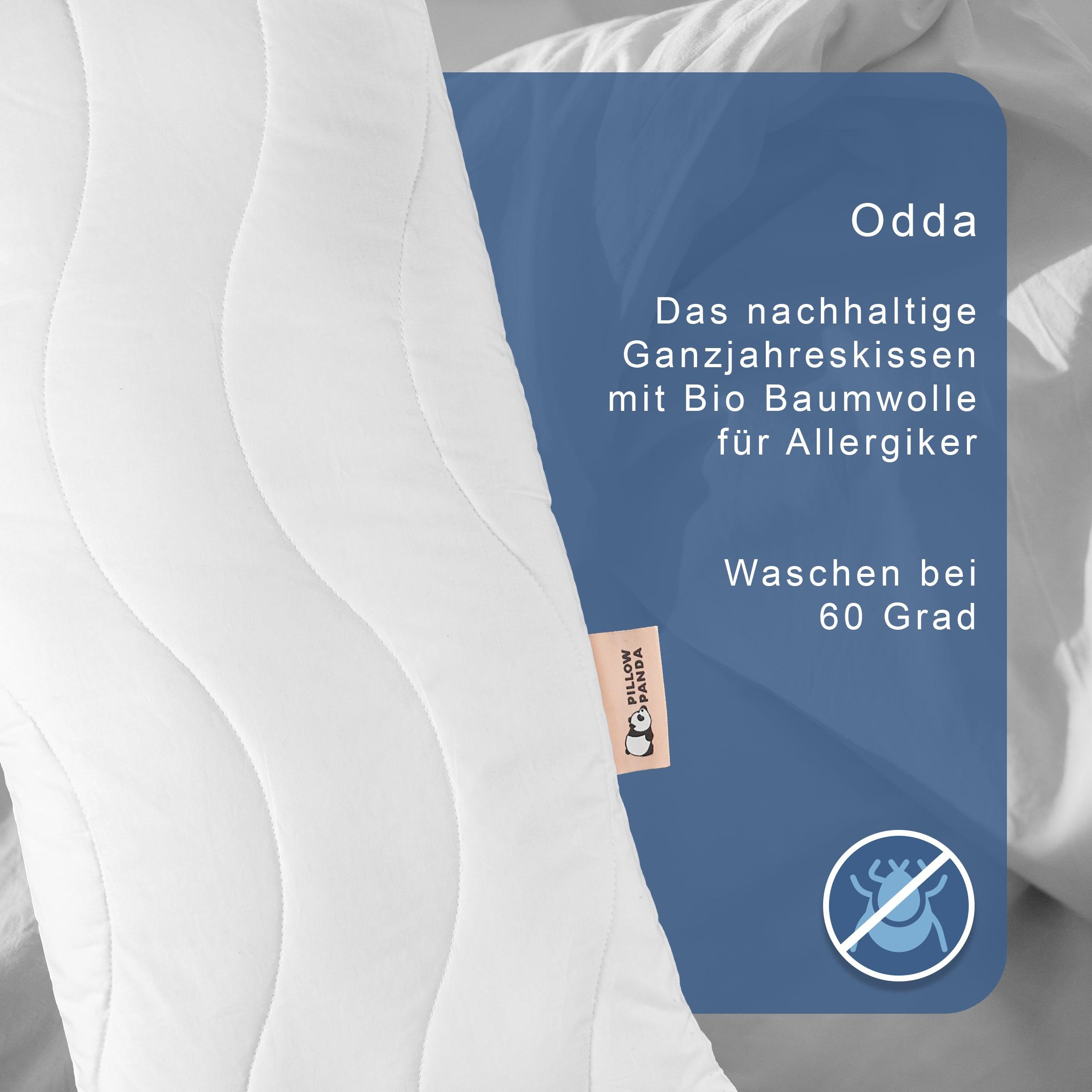 Odda - das nachhaltige Allergiker Kopfkissen-1