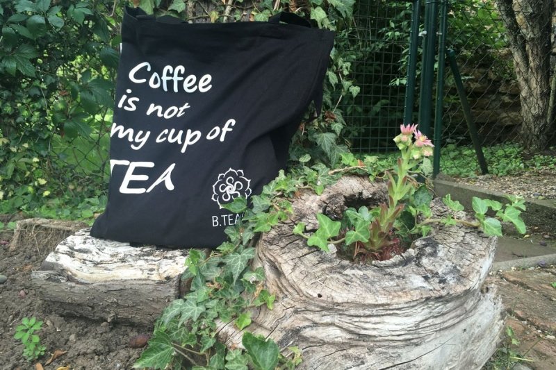 The Black Bag - Schwarze Tragetasche-2